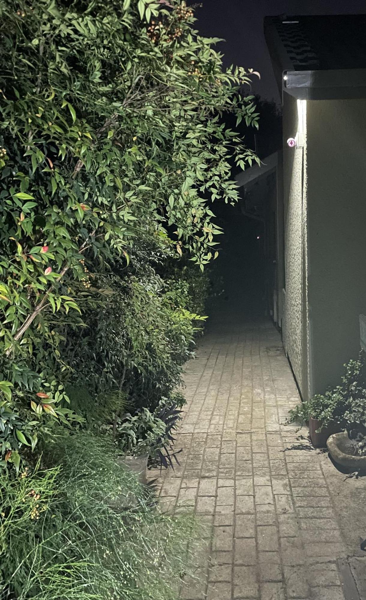 Celtis Lane Guest House Boksburg Bagian luar foto