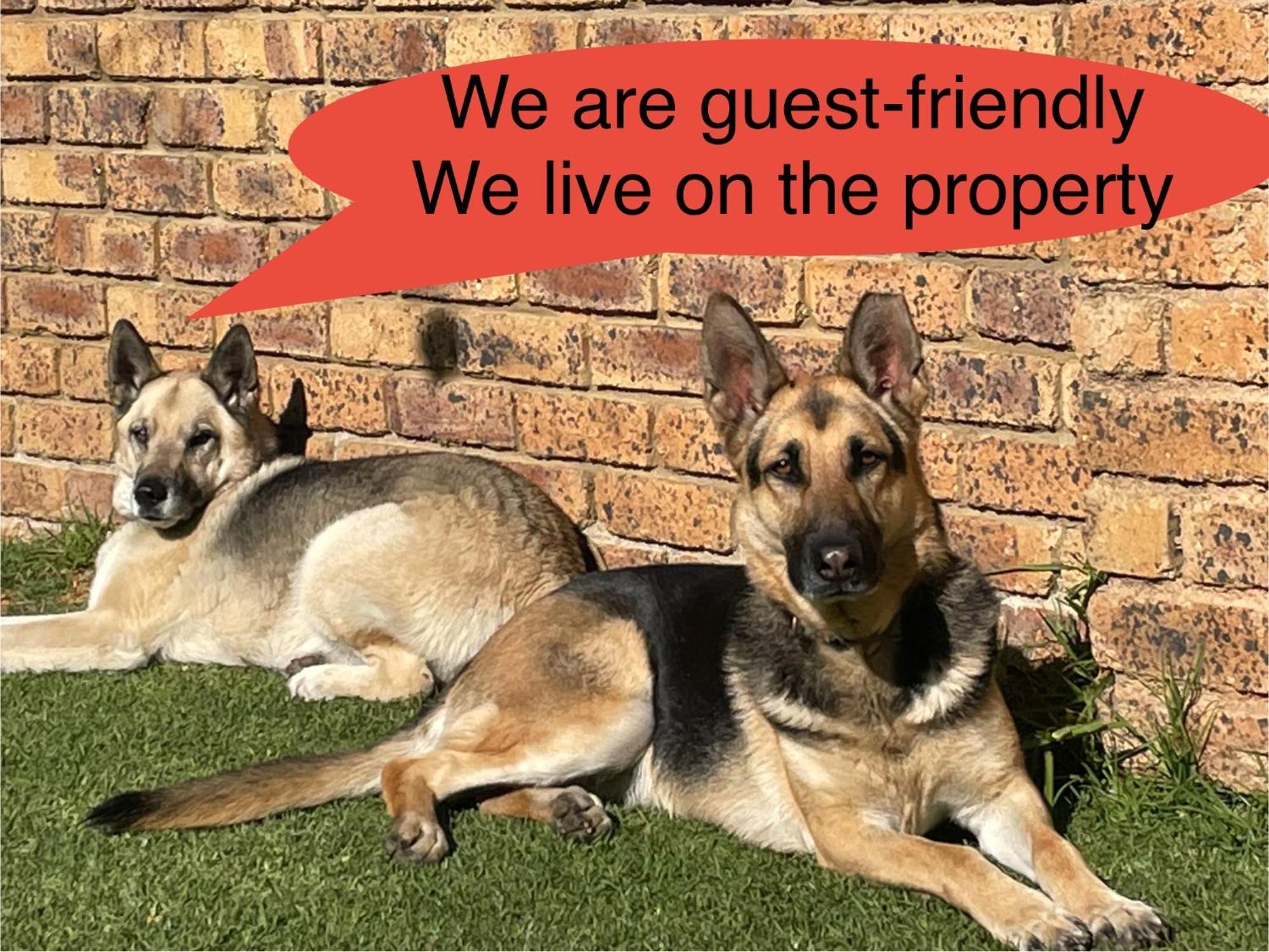 Celtis Lane Guest House Boksburg Bagian luar foto